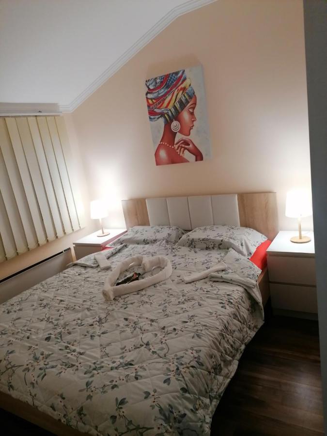 סרמסקה מיטרוביקה Apartman Dionis Sm מראה חיצוני תמונה